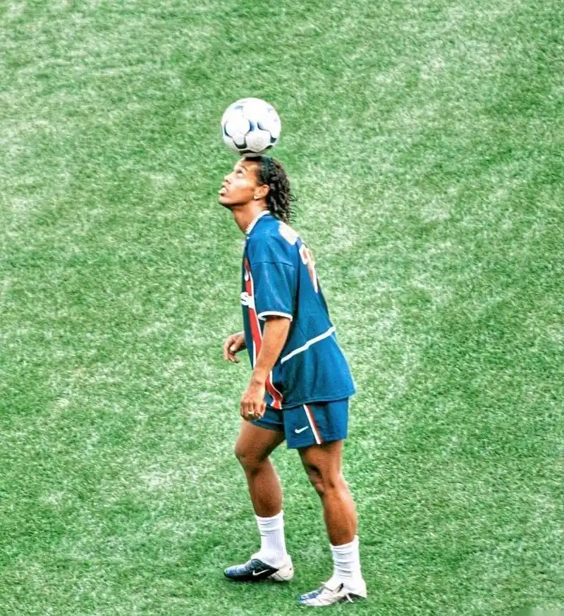 全面的组织 全面的组织